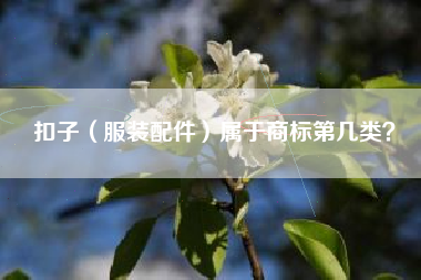 扣子（服装配件）属于商标第几类？