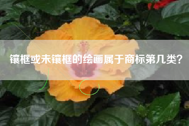 镶框或未镶框的绘画属于商标第几类？