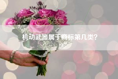 机动武器属于商标第几类？