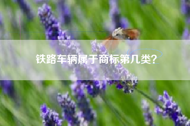 铁路车辆属于商标第几类？