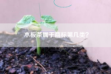 木板条属于商标第几类？