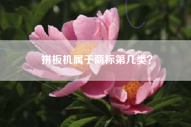 拼板机属于商标第几类？