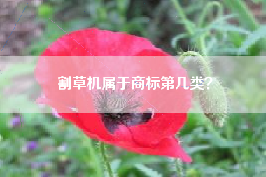 割草机属于商标第几类？
