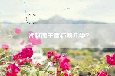 汽艇属于商标第几类？