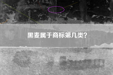 黑麦属于商标第几类？