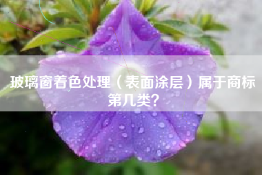 玻璃窗着色处理（表面涂层）属于商标第几类？