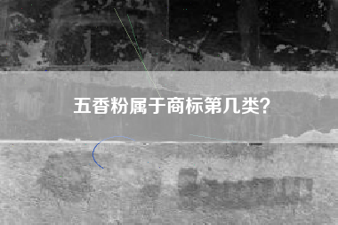 五香粉属于商标第几类？