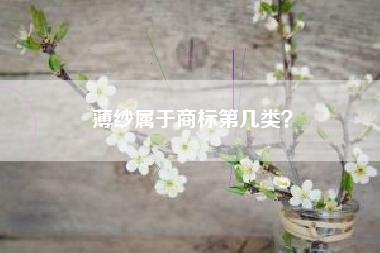 薄纱属于商标第几类？