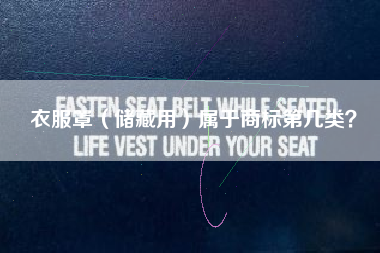 衣服罩（储藏用）属于商标第几类？