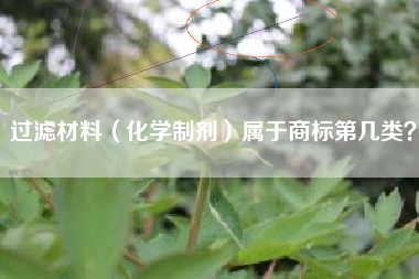 过滤材料（化学制剂）属于商标第几类？