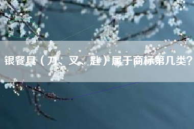 银餐具（刀、叉、匙）属于商标第几类？