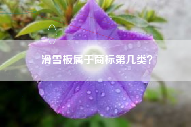 滑雪板属于商标第几类？