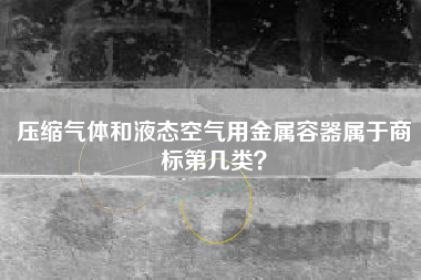 压缩气体和液态空气用金属容器属于商标第几类？
