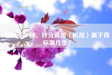 植物茎、柄、叶分离器（机器）属于商标第几类？