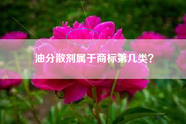 油分散剂属于商标第几类？