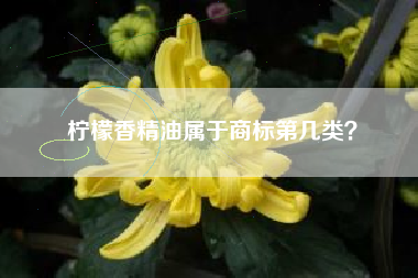 柠檬香精油属于商标第几类？