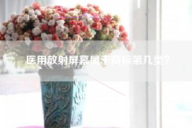 医用放射屏幕属于商标第几类？