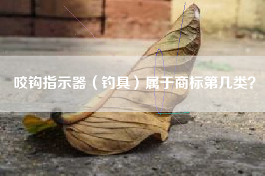 咬钩指示器（钓具）属于商标第几类？
