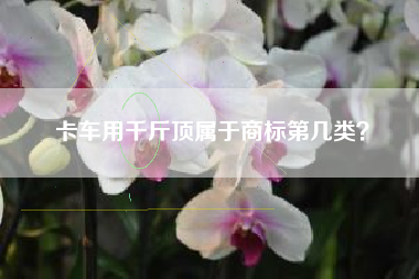 卡车用千斤顶属于商标第几类？