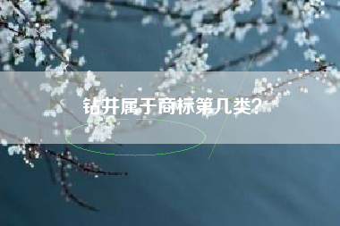 钻井属于商标第几类？