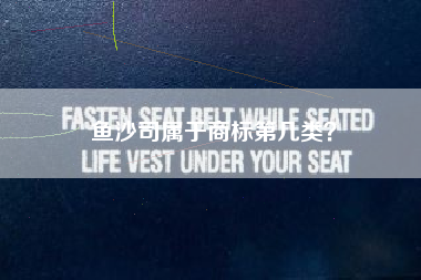 鱼沙司属于商标第几类？