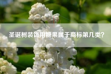 圣诞树装饰用糖果属于商标第几类？