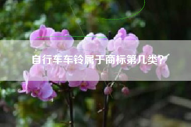 自行车车铃属于商标第几类？