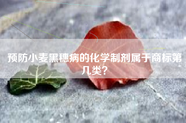 预防小麦黑穗病的化学制剂属于商标第几类？