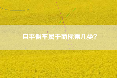 自平衡车属于商标第几类？