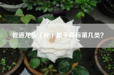 管道龙头（栓）属于商标第几类？