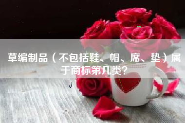 草编制品（不包括鞋、帽、席、垫）属于商标第几类？