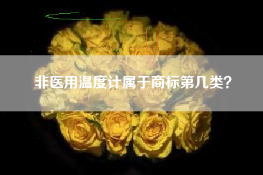 非医用温度计属于商标第几类？