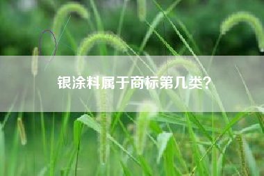 银涂料属于商标第几类？