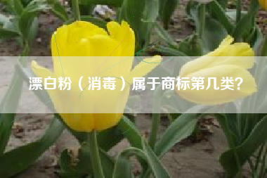 漂白粉（消毒）属于商标第几类？