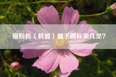 磨粉机（机器）属于商标第几类？