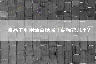 食品工业用葡萄糖属于商标第几类？