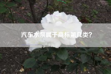 汽车水泵属于商标第几类？