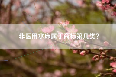 非医用水床属于商标第几类？