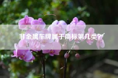 非金属车牌属于商标第几类？
