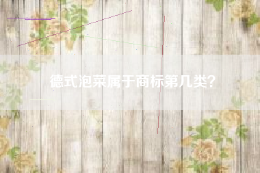 德式泡菜属于商标第几类？
