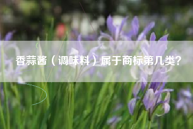 香蒜酱（调味料）属于商标第几类？