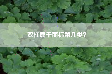 双杠属于商标第几类？
