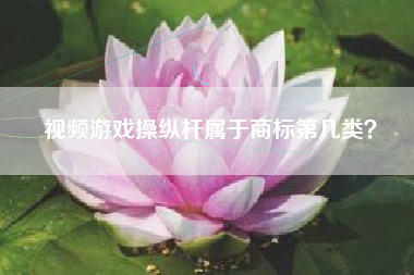 视频游戏操纵杆属于商标第几类？