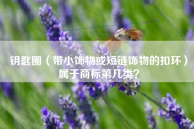 钥匙圈（带小饰物或短链饰物的扣环）属于商标第几类？
