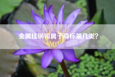 金属挂锅钩属于商标第几类？