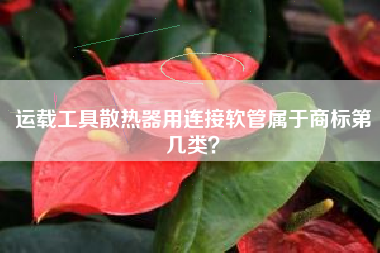 运载工具散热器用连接软管属于商标第几类？