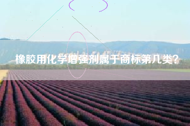 橡胶用化学增强剂属于商标第几类？