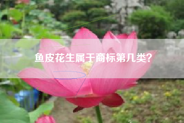 鱼皮花生属于商标第几类？