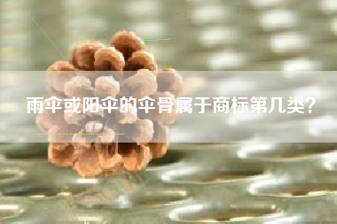 雨伞或阳伞的伞骨属于商标第几类？