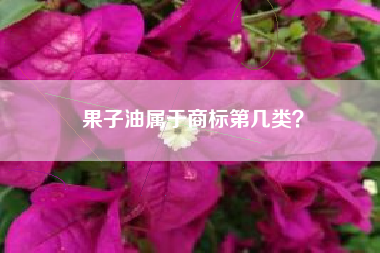 果子油属于商标第几类？